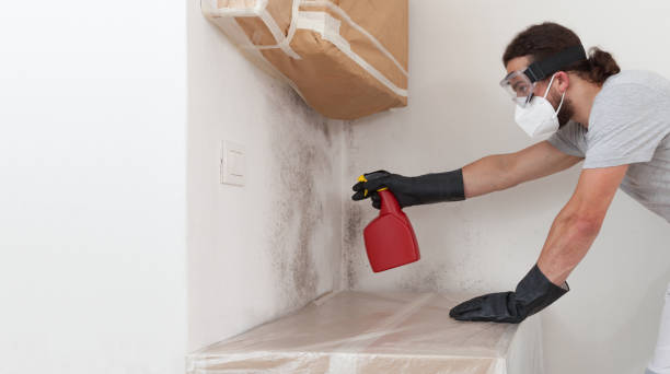 Professional Mold Testing technician working in Churchville, NY